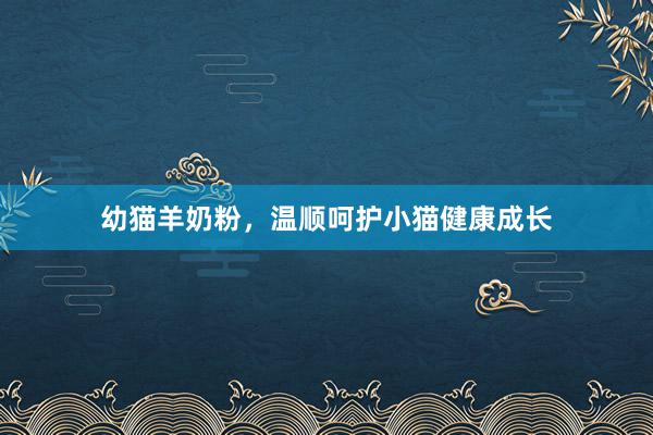 幼猫羊奶粉，温顺呵护小猫健康成长